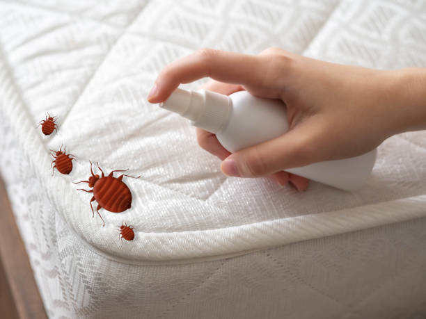 Best Pest Control for Multi-Family Homes  in Rosend, LA